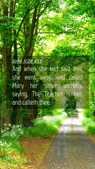Picture 04 - John 11:28 ASV Mobile Phone Wallpaper - And when she had said this, she went away, and - Mobile Bible Verse Wallpaper