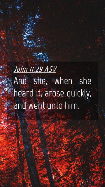 Picture 04 - John 11:29 ASV Mobile Phone Wallpaper - And she, when she heard it, arose quickly, and - Mobile Bible Verse Wallpaper