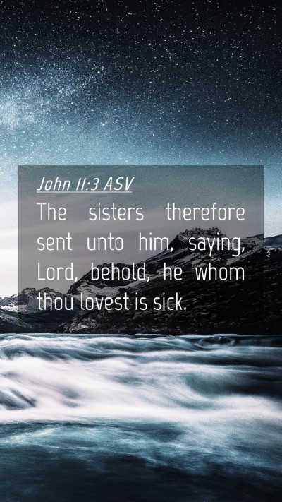 Picture 04 - John 11:3 ASV Mobile Phone Wallpaper - The sisters therefore sent unto him, saying, - Mobile Bible Verse Wallpaper