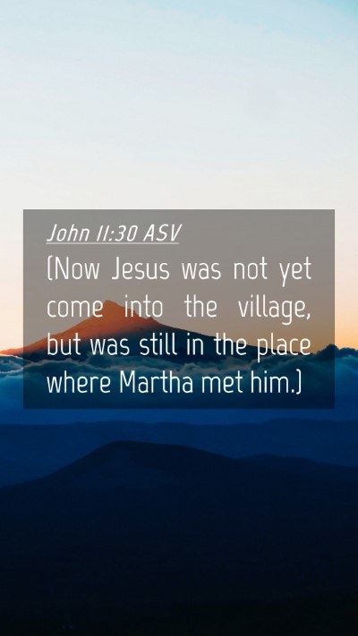 Picture 04 - John 11:30 ASV Mobile Phone Wallpaper - (Now Jesus was not yet come into the village, but - Mobile Bible Verse Wallpaper