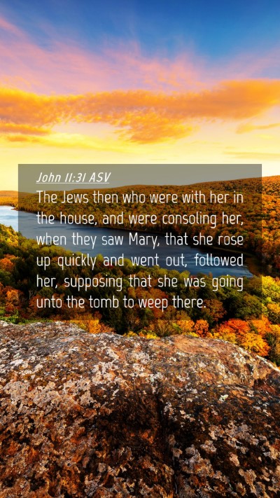 Picture 04 - John 11:31 ASV Mobile Phone Wallpaper - The Jews then who were with her in the house, and - Mobile Bible Verse Wallpaper