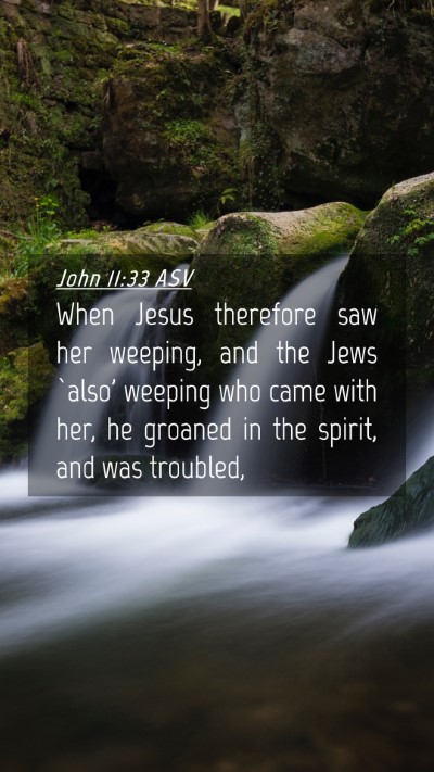 Picture 04 - John 11:33 ASV Mobile Phone Wallpaper - When Jesus therefore saw her weeping, and the - Mobile Bible Verse Wallpaper