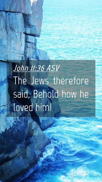 Picture 04 - John 11:36 ASV Mobile Phone Wallpaper - The Jews therefore said, Behold how he loved - Mobile Bible Verse Wallpaper