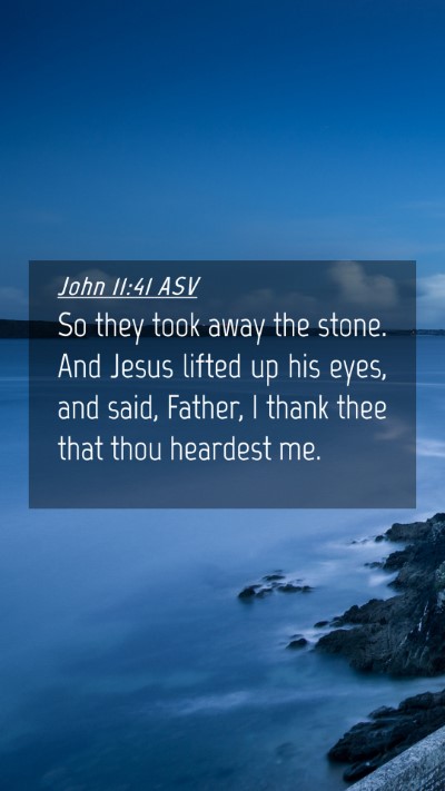 Picture 04 - John 11:41 ASV Mobile Phone Wallpaper - So they took away the stone. And Jesus lifted up - Mobile Bible Verse Wallpaper