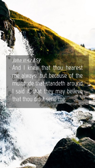 Picture 04 - John 11:42 ASV Mobile Phone Wallpaper - And I knew that thou hearest me always: but - Mobile Bible Verse Wallpaper