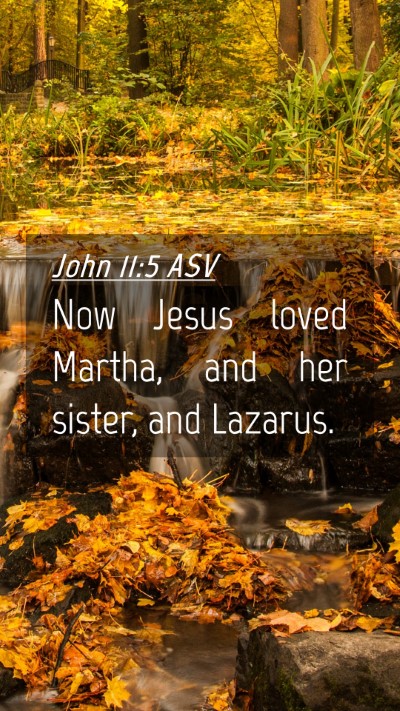 Picture 04 - John 11:5 ASV Mobile Phone Wallpaper - Now Jesus loved Martha, and her sister, and - Mobile Bible Verse Wallpaper