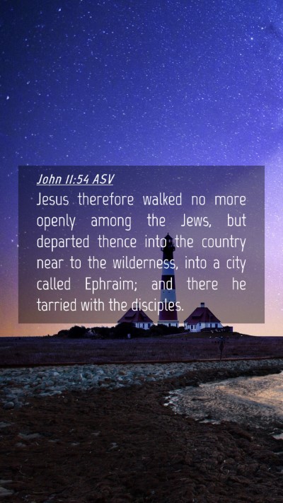 Picture 04 - John 11:54 ASV Mobile Phone Wallpaper - Jesus therefore walked no more openly among the - Mobile Bible Verse Wallpaper