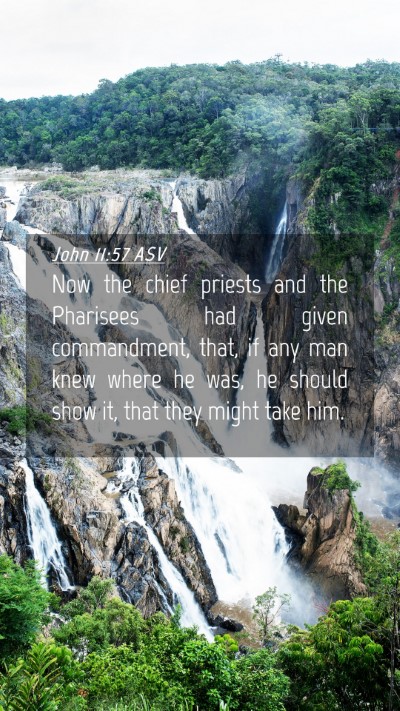 Picture 04 - John 11:57 ASV Mobile Phone Wallpaper - Now the chief priests and the Pharisees had given - Mobile Bible Verse Wallpaper