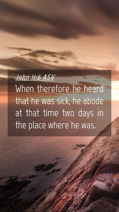 Picture 04 - John 11:6 ASV Mobile Phone Wallpaper - When therefore he heard that he was sick, he - Mobile Bible Verse Wallpaper