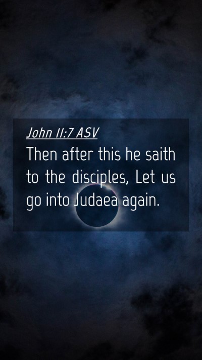 Picture 04 - John 11:7 ASV Mobile Phone Wallpaper - Then after this he saith to the disciples, Let us - Mobile Bible Verse Wallpaper