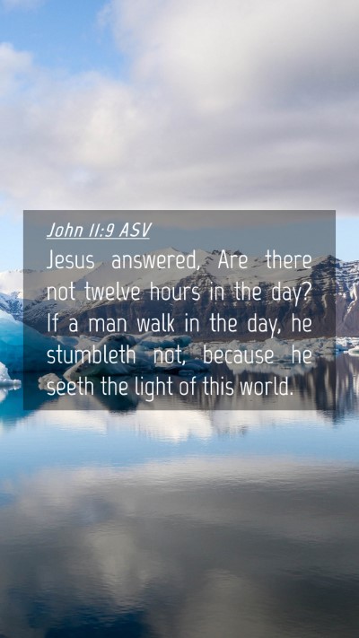Picture 04 - John 11:9 ASV Mobile Phone Wallpaper - Jesus answered, Are there not twelve hours in the - Mobile Bible Verse Wallpaper
