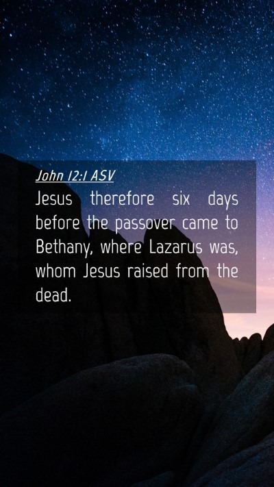 Picture 04 - John 12:1 ASV Mobile Phone Wallpaper - Jesus therefore six days before the passover came - Mobile Bible Verse Wallpaper