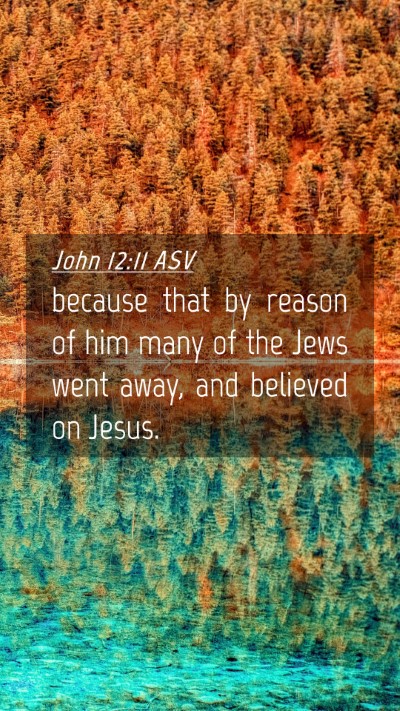Picture 04 - John 12:11 ASV Mobile Phone Wallpaper - because that by reason of him many of the Jews - Mobile Bible Verse Wallpaper