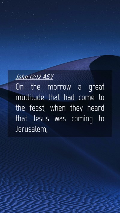 Picture 04 - John 12:12 ASV Mobile Phone Wallpaper - On the morrow a great multitude that had come to - Mobile Bible Verse Wallpaper