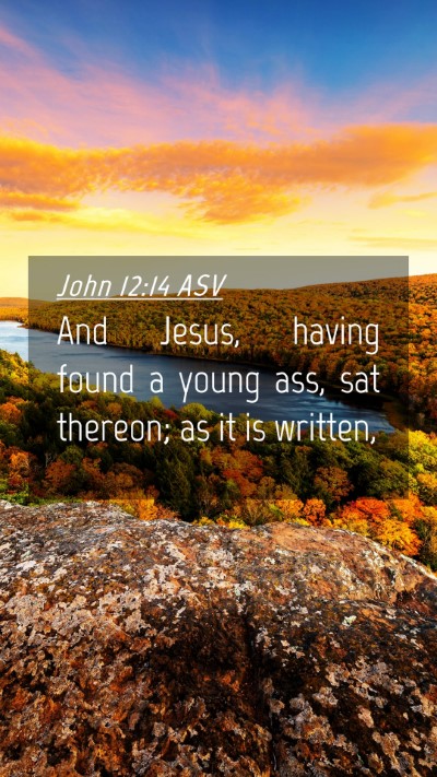 Picture 04 - John 12:14 ASV Mobile Phone Wallpaper - And Jesus, having found a young ass, sat thereon; - Mobile Bible Verse Wallpaper