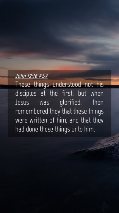 Picture 04 - John 12:16 ASV Mobile Phone Wallpaper - These things understood not his disciples at the - Mobile Bible Verse Wallpaper