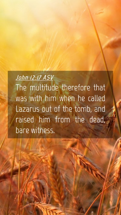 Picture 04 - John 12:17 ASV Mobile Phone Wallpaper - The multitude therefore that was with him when he - Mobile Bible Verse Wallpaper
