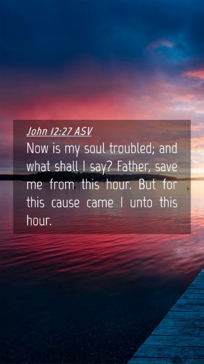 Picture 04 - John 12:27 ASV Mobile Phone Wallpaper - Now is my soul troubled; and what shall I say? - Mobile Bible Verse Wallpaper