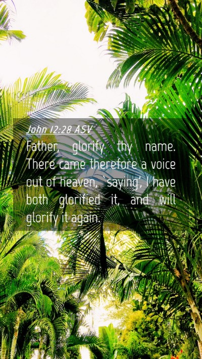 Picture 04 - John 12:28 ASV Mobile Phone Wallpaper - Father, glorify thy name. There came therefore a - Mobile Bible Verse Wallpaper
