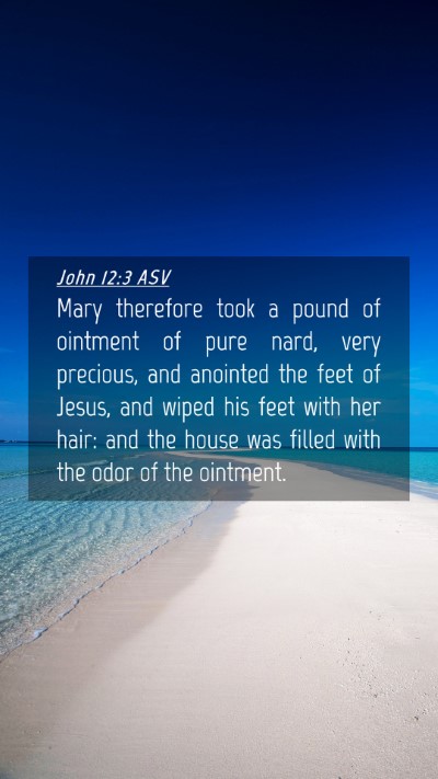 Picture 04 - John 12:3 ASV Mobile Phone Wallpaper - Mary therefore took a pound of ointment of pure - Mobile Bible Verse Wallpaper