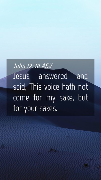 Picture 04 - John 12:30 ASV Mobile Phone Wallpaper - Jesus answered and said, This voice hath not come - Mobile Bible Verse Wallpaper