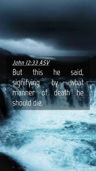 Picture 04 - John 12:33 ASV Mobile Phone Wallpaper - But this he said, signifying by what manner of - Mobile Bible Verse Wallpaper