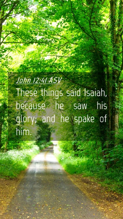 Picture 04 - John 12:41 ASV Mobile Phone Wallpaper - These things said Isaiah, because he saw his - Mobile Bible Verse Wallpaper