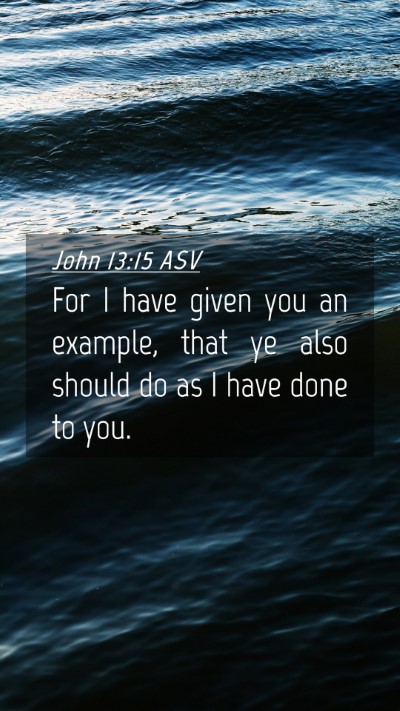 Picture 04 - John 13:15 ASV Mobile Phone Wallpaper - For I have given you an example, that ye also - Mobile Bible Verse Wallpaper