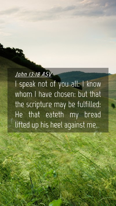 Picture 04 - John 13:18 ASV Mobile Phone Wallpaper - I speak not of you all: I know whom I have - Mobile Bible Verse Wallpaper