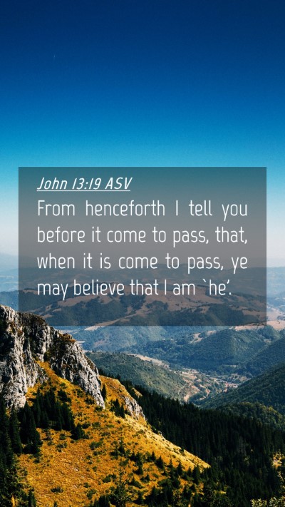 Picture 04 - John 13:19 ASV Mobile Phone Wallpaper - From henceforth I tell you before it come to - Mobile Bible Verse Wallpaper