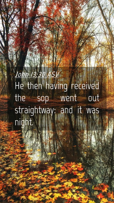 Picture 04 - John 13:30 ASV Mobile Phone Wallpaper - He then having received the sop went out - Mobile Bible Verse Wallpaper