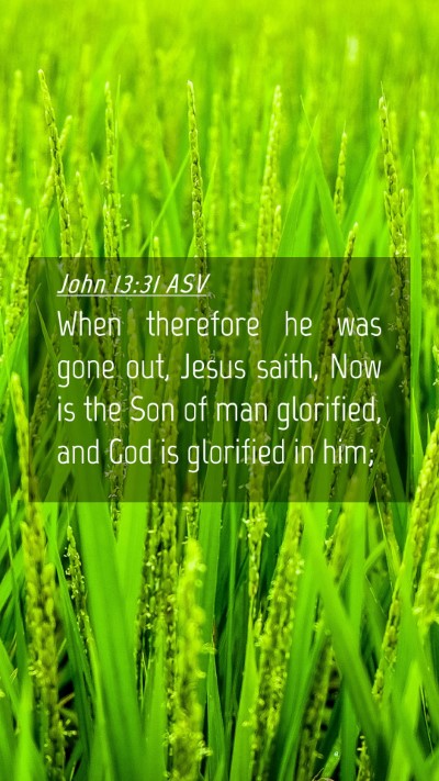 Picture 04 - John 13:31 ASV Mobile Phone Wallpaper - When therefore he was gone out, Jesus saith, Now - Mobile Bible Verse Wallpaper
