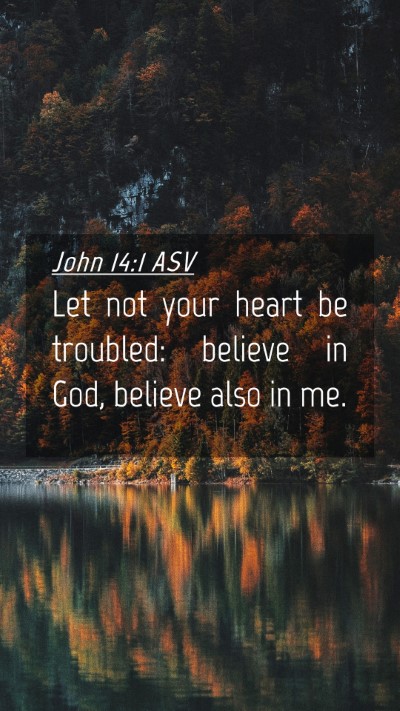 Picture 04 - John 14:1 ASV Mobile Phone Wallpaper - Let not your heart be troubled: believe in God, - Mobile Bible Verse Wallpaper