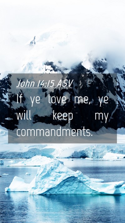 Picture 04 - John 14:15 ASV Mobile Phone Wallpaper - If ye love me, ye will keep my - Mobile Bible Verse Wallpaper