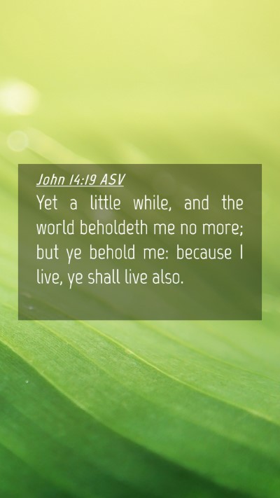 Picture 04 - John 14:19 ASV Mobile Phone Wallpaper - Yet a little while, and the world beholdeth me no - Mobile Bible Verse Wallpaper