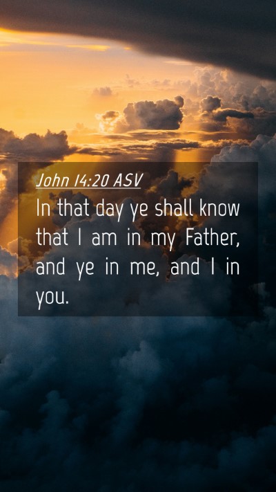 Picture 04 - John 14:20 ASV Mobile Phone Wallpaper - In that day ye shall know that I am in my Father, - Mobile Bible Verse Wallpaper