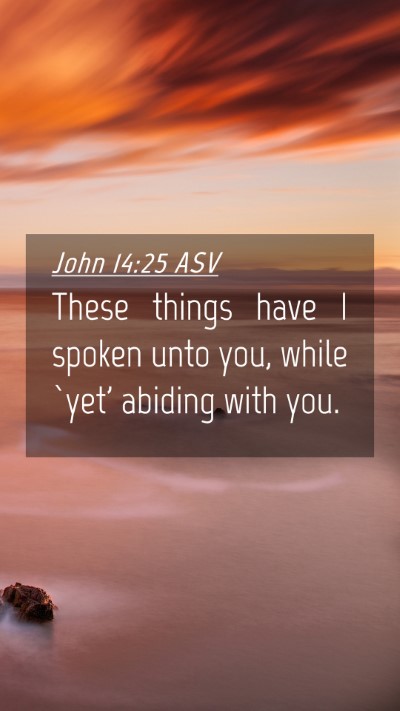 Picture 04 - John 14:25 ASV Mobile Phone Wallpaper - These things have I spoken unto you, while `yet' - Mobile Bible Verse Wallpaper