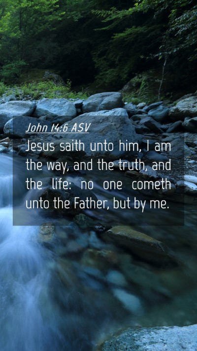 Picture 04 - John 14:6 ASV Mobile Phone Wallpaper - Jesus saith unto him, I am the way, and the - Mobile Bible Verse Wallpaper