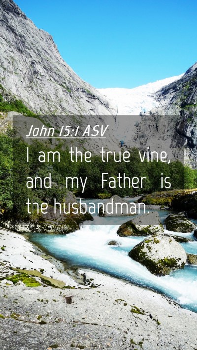 Picture 04 - John 15:1 ASV Mobile Phone Wallpaper - I am the true vine, and my Father is the - Mobile Bible Verse Wallpaper