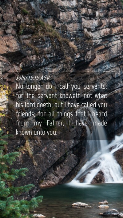 Picture 04 - John 15:15 ASV Mobile Phone Wallpaper - No longer do I call you servants; for the servant - Mobile Bible Verse Wallpaper
