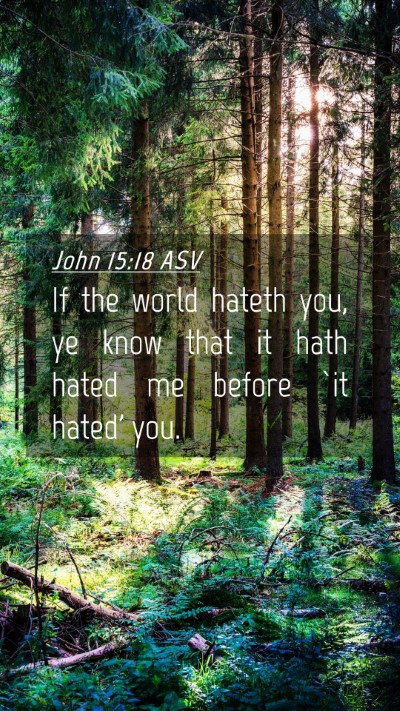 Picture 04 - John 15:18 ASV Mobile Phone Wallpaper - If the world hateth you, ye know that it hath - Mobile Bible Verse Wallpaper