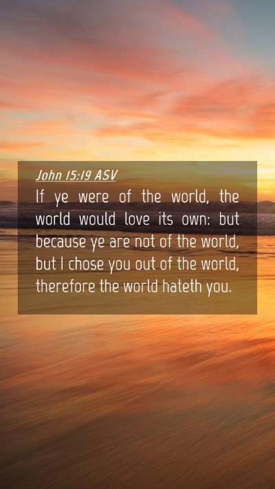 Picture 04 - John 15:19 ASV Mobile Phone Wallpaper - If ye were of the world, the world would love its - Mobile Bible Verse Wallpaper