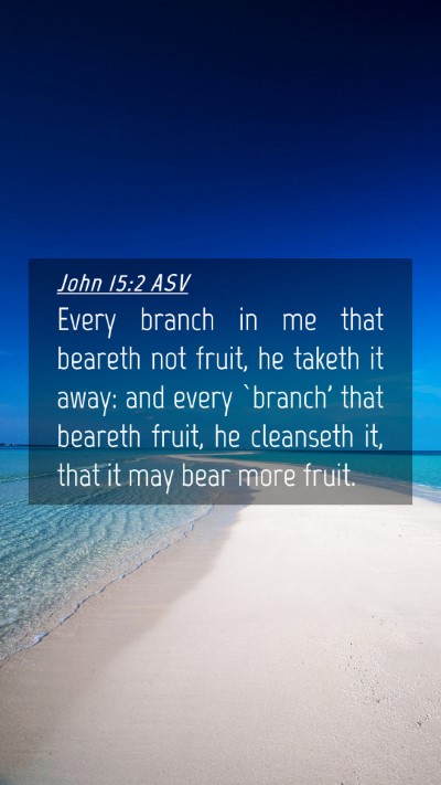 Picture 04 - John 15:2 ASV Mobile Phone Wallpaper - Every branch in me that beareth not fruit, he - Mobile Bible Verse Wallpaper