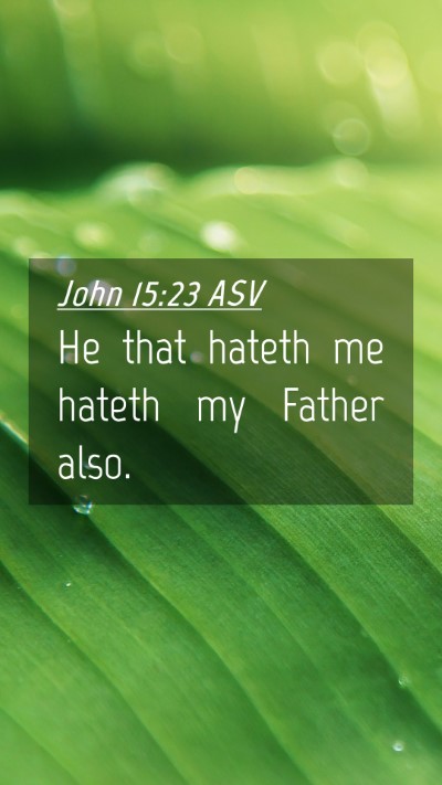 Picture 04 - John 15:23 ASV Mobile Phone Wallpaper - He that hateth me hateth my Father - Mobile Bible Verse Wallpaper