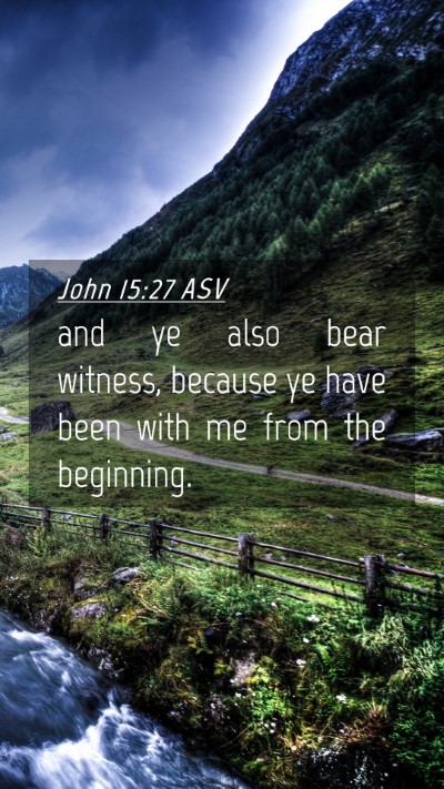 Picture 04 - John 15:27 ASV Mobile Phone Wallpaper - and ye also bear witness, because ye have been - Mobile Bible Verse Wallpaper