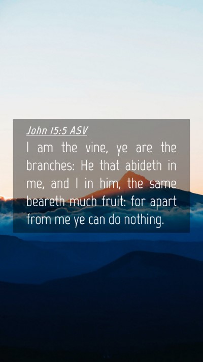 Picture 04 - John 15:5 ASV Mobile Phone Wallpaper - I am the vine, ye are the branches: He that - Mobile Bible Verse Wallpaper