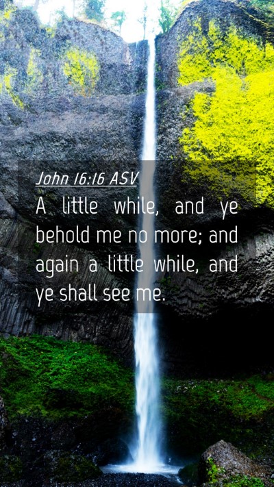 Picture 04 - John 16:16 ASV Mobile Phone Wallpaper - A little while, and ye behold me no more; and - Mobile Bible Verse Wallpaper