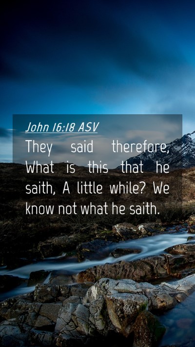 Picture 04 - John 16:18 ASV Mobile Phone Wallpaper - They said therefore, What is this that he saith, - Mobile Bible Verse Wallpaper