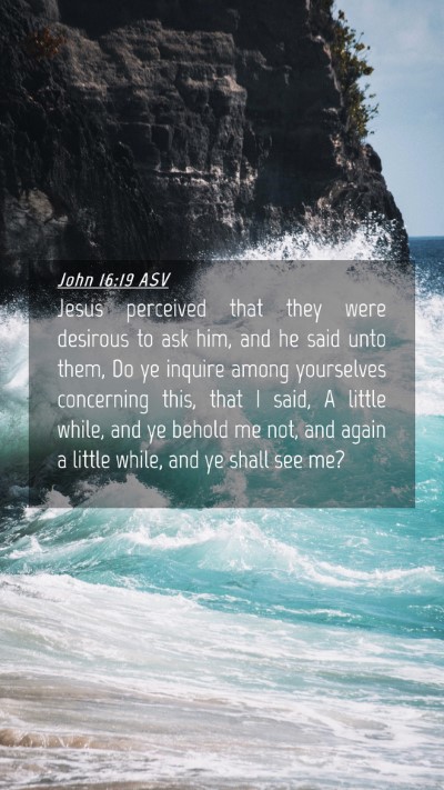 Picture 04 - John 16:19 ASV Mobile Phone Wallpaper - Jesus perceived that they were desirous to ask - Mobile Bible Verse Wallpaper