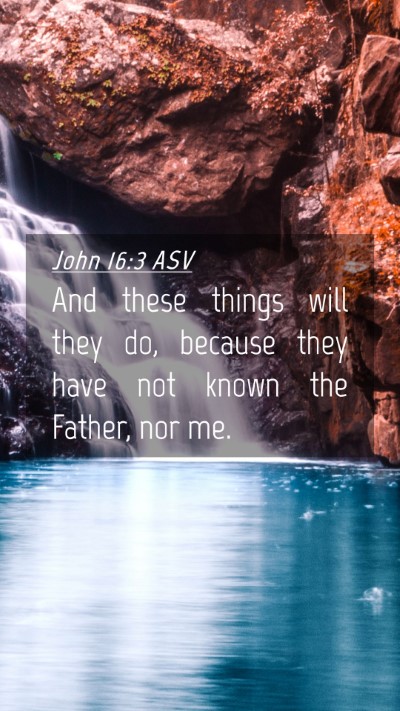 Picture 04 - John 16:3 ASV Mobile Phone Wallpaper - And these things will they do, because they have - Mobile Bible Verse Wallpaper